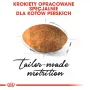 Kuiv kassitoit Royal Canin Persian 4 kg — täiskasvanud pärsia, kana, 30% valku, 22% rasva