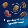 Kassi maiused Felix Party Mix Ocean Mix kotike 60 g — täiskasvanud kassi suupiste