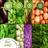 Toraf Vegetable Seed Harmony Set - 12 Packages