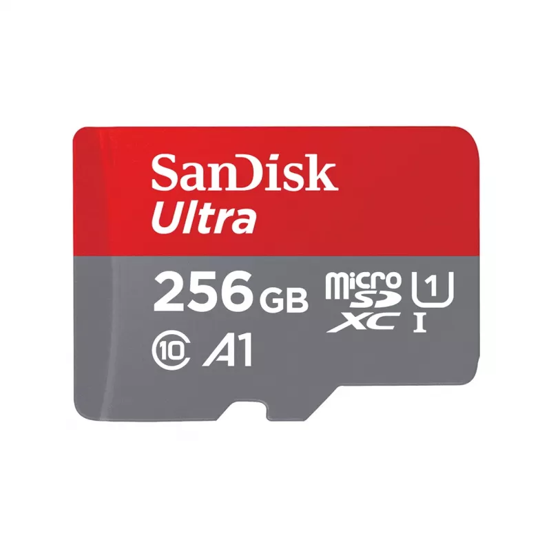 Välkmälu SanDisk 256 GB MicroSDXC UHS-I SDSQUNR-256G-GN6TA
