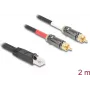 DeLOCK audio kaabel 2 m RJ-45 2 x RCA Must 88171