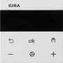 Gira 539327 Ekraan