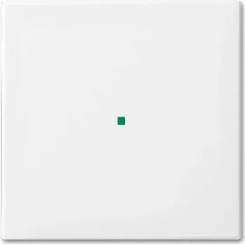 Busch-Jaeger 6230-10-914 Valge