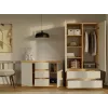 MALWA SS-90 wardrobe artisan tamm/kašmiir