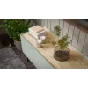 Cama FELLINI TV-kapp 150x40x52 oliivroheline + õlitatud tammest pealisplaat