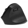 Ergonoomiline paremakäeline juhtmevaba hiir, Dual WL+BT