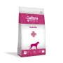 CALIBRA VD Dog Struvite - kuiv koeratoit - 2kg