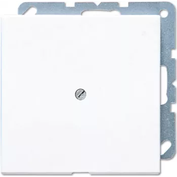 Jung LS 990 A WW pistikupesa valge (LS990AWW)