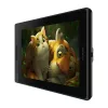 Huion Kamvas Pro 13 GT133 graafikatablett