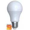 Nutipirn Denver SHL-340
