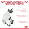 Kuiv kassitoit Royal Canin Mother & Babycat 400 g — Linnuliha, tiinetele ja imetavatele emakassidele ning noortele kassipoegadele