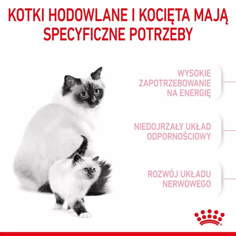 Kuiv kassitoit Royal Canin Mother & Babycat 400 g — Linnuliha, tiinetele ja imetavatele emakassidele ning noortele kassipoegadele