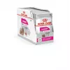 ROYAL CANIN Exigent Meat Universal märg koeratoit 12×85 g — linnuliha, täiskasvanud, valivale koerale