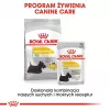 ROYAL CANIN Mini Dermacomfort - kuivtoit tundliku ja ärritusele kalduva nahaga täiskasvanud väikest tõugu koertele - 3 kg
