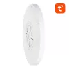 Nutikas laelamp 30 cm WiFi/Bluetooth 16M RGBCW Gosund LB12 1920lm Tuya + kaugjuhtimispult.
