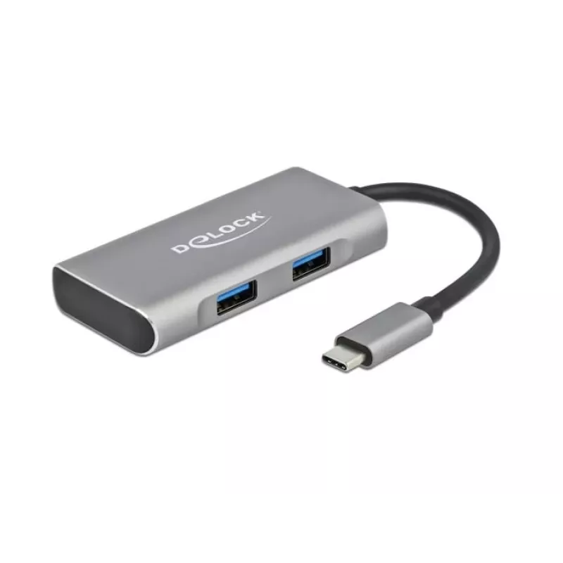 USB Jaotur DeLOCK Väline USB 10 Gbps USB-C Jaotur 63260