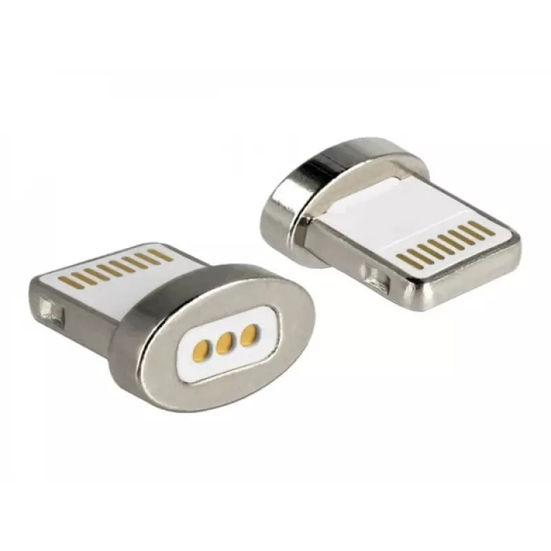 DeLOCK - Lightning-adapter - magnetiline Lightning-pistikule (M) - Apple iPad/iPhone/iPod (Lightning) jaoks (65928)
