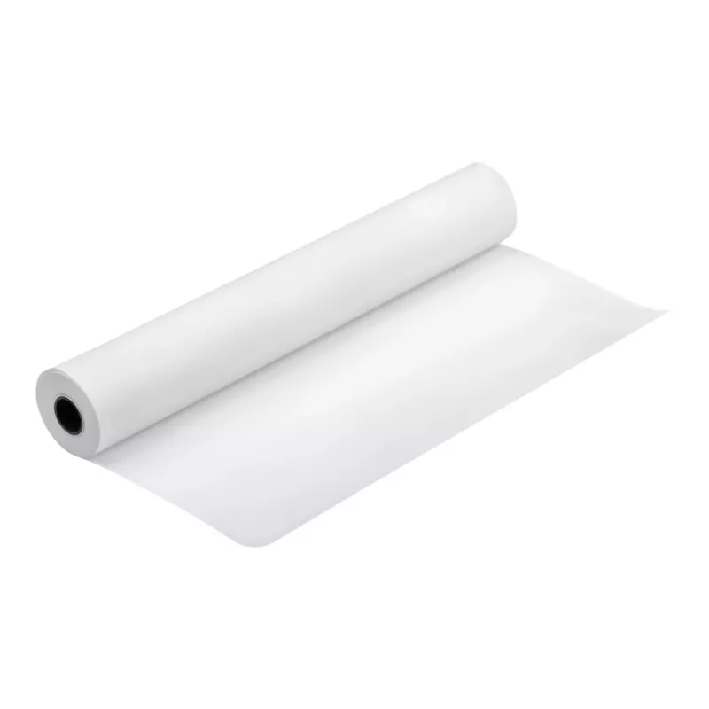 Epson Production Canvas Matte, 610 mm x 12,2 m, 12,2 m, 61 cm, 61 cm (24 tolli), Matt, 320 g/m²