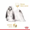 ROYAL CANIN Shih Tzu Adult märg koeratoit Pasteet 12x85 g