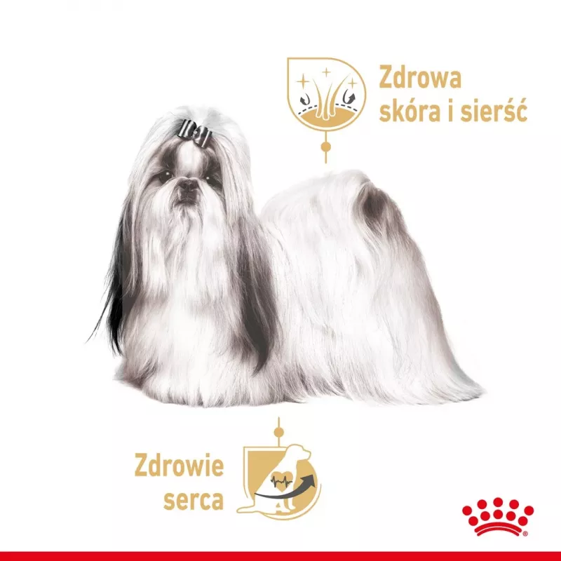 ROYAL CANIN Shih Tzu Adult märg koeratoit Pasteet 12x85 g