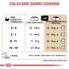 Kuiv kassitoit Royal Canin Maine Coon Kitten 2 kg — linnuliha, valk 36%, rasv 23%