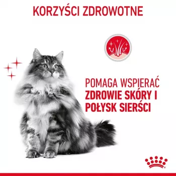 Kuiv kassitoit Royal Canin Hair & Skin Care 2 kg — kana, täiskasvanud, 33% valku, 22% rasva