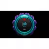 Juhtmevaba tolmuimeja DYSON GEN 5 Detect Absolute