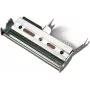 HONEYWELL 300 dpi - Print head - for EasyCoder PX4i
