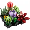 Lego Icons 10309 Sukulendid