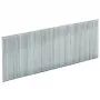 Nails Einhell 4137874 3000 tk Metall 32 mm Pikkus 1 mm Läbimõõt