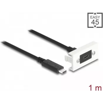 DeLOCK Easy 45 moodul SuperSpeed USB 10 Gbps USB USB-C emane-isane 1m