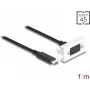DeLOCK Easy 45 moodul SuperSpeed USB 10 Gbps USB USB-C emane-isane 1m