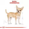 Kuiv koeratoit Royal Canin Chihuahua Adult 1.5 kg — kana, 28% valku, väga väikese tõu koertele