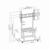 Gembird TVS-100F-01 põrandaalus ekraanidele 2.54 m (100) Must