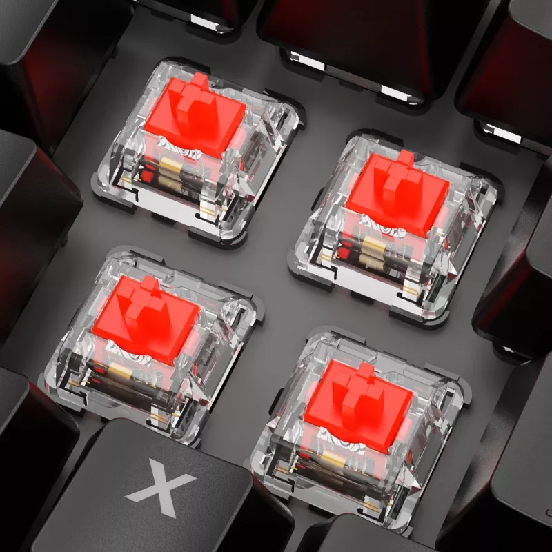 Klaviatuur Sharkoon SKILLER SGK20 Red
