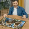 Pusle Ravensburger Nõia õpipoiss Harry Potter 1000 tk