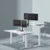 Seinale kinnitatav monitorihoidik SBOX LCD-352/2-2 13–32-tollistele ekraanidele, kaheharuline, 2×8 kg kandevõime, VESA 100×100
