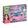 Clementoni Scientific Fun - Kristallornamentide labor