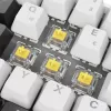 Sharkoon SGK50 S4 klaviatuur Kodu USB QWERTZ Saksa Valge RGB LED 60%