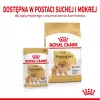 Kuiv koeratoit Royal Canin Pomeranian Adult 3 kg — väikesetõuliste valem täiskasvanud pomeranlastele