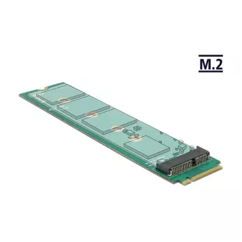Sisemine M.2 adapter DeLOCK 65831