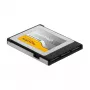 Mälukaart DeLOCK 54066 256 GB CFexpress