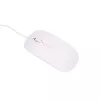 Extralink Stacionarus kompiuteris Xiaomi 24 inch All-In-One PC Business | All-In-One PC | Intel i5 11300H, 16GB DDR4, 512GB SSD, klaviatuur, hiir, veebikaamera