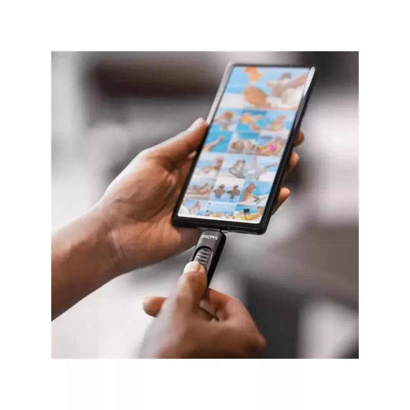 USB-mälupulk SanDisk 128 GB USB-C SDCZ480-128G-G46