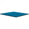 Thermal Grizzly Minus Pad Advance - 100 x 100 x 1,5 mm, 2 tk