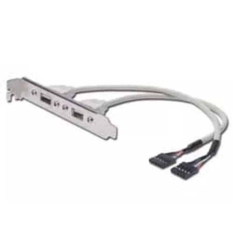 USB Slot Bracket kaabel Digitus AK-300301-002-E