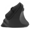 Ergonoomiline paremakäeline juhtmevaba hiir, Dual WL+BT