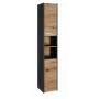 Topeshop S30 ANTRACYT/ARTISAN vannitoa hoiukapp