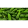 Cucumber Ares F1 Toraf köögiviljaseemned, 5g pakend