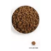 ORIJEN Dog Originaal - kuiv koeratoit - 2kg